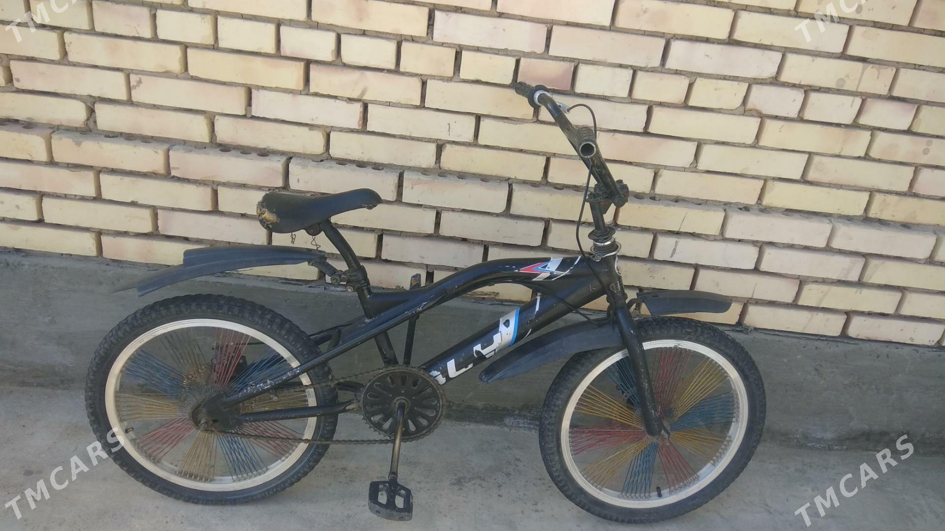 welsepit - Mary - img 1