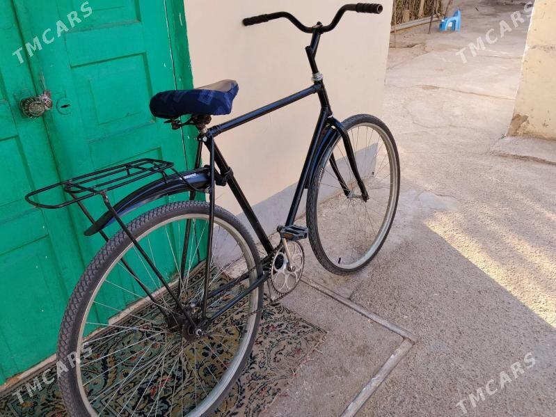 Ural tigir - Bekrewe - img 2