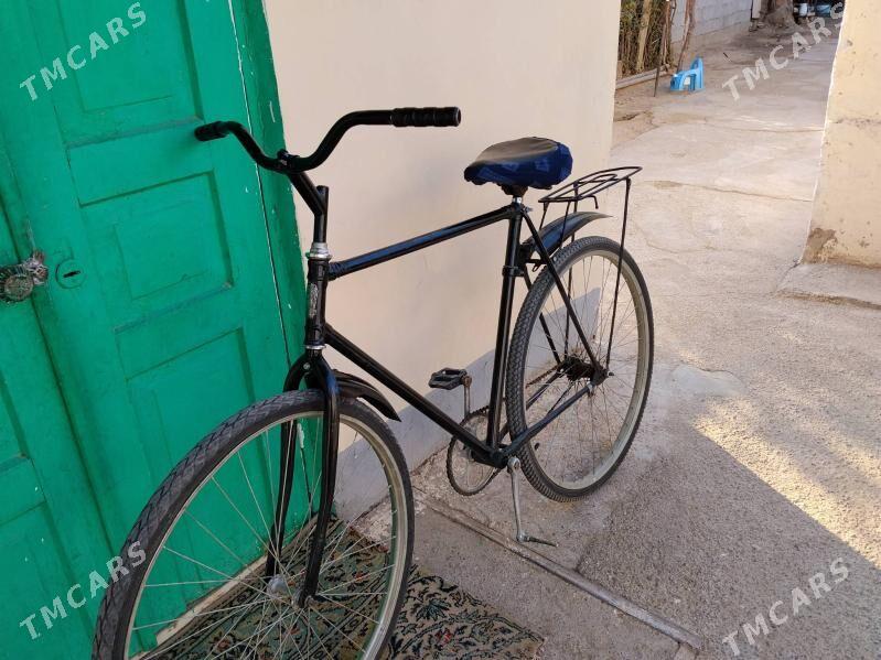 Ural tigir - Bekrewe - img 4