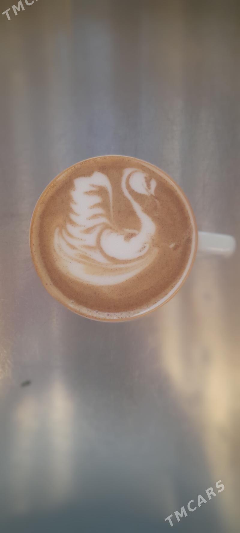 бариста barista - Ашхабад - img 3