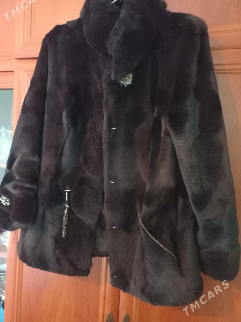 Şuba - Дашогуз - img 2