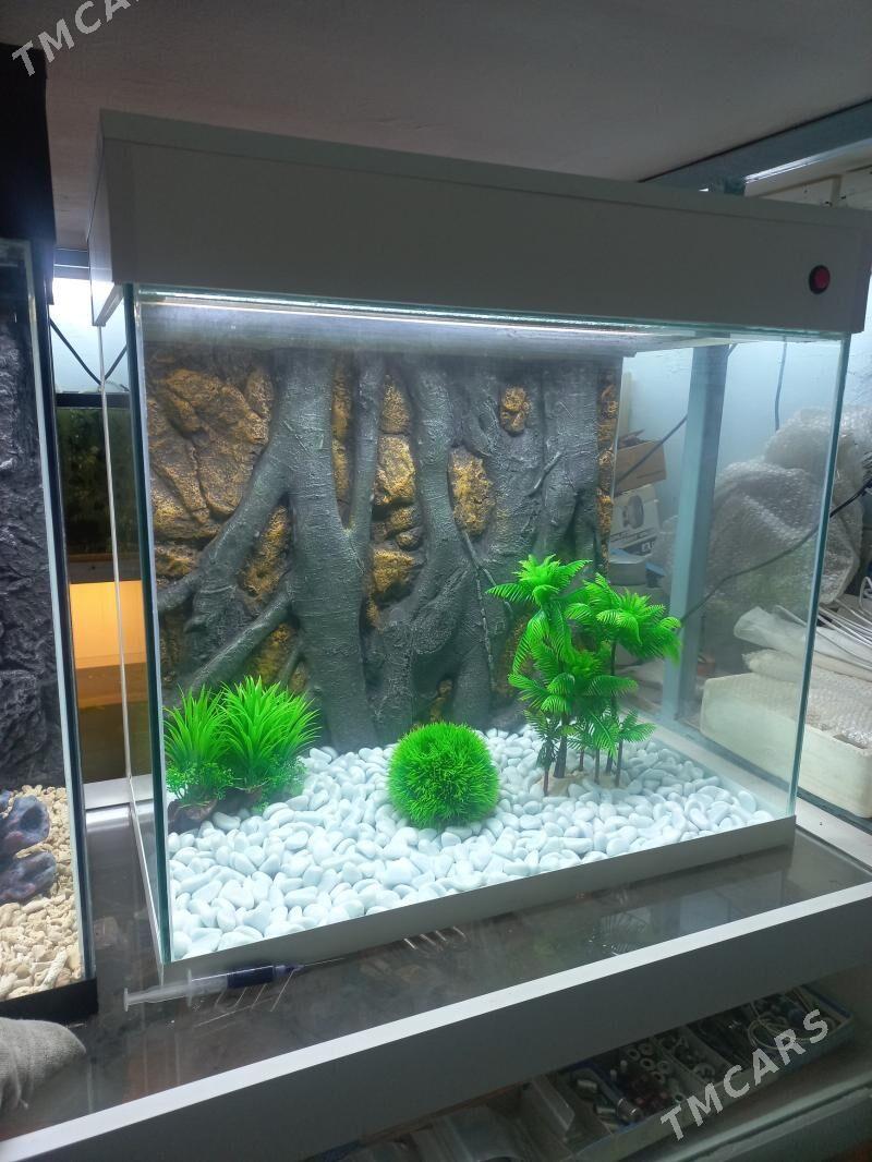 Аквариум - Ашхабад - img 3