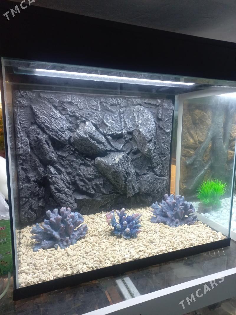 Аквариум - Ашхабад - img 5