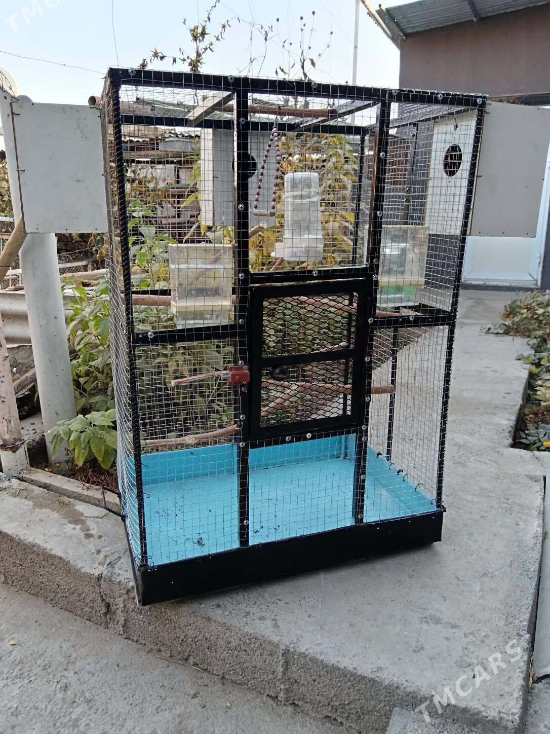 Guș Kletka Täze 0.95*0.67*0.50 - Багир - img 1