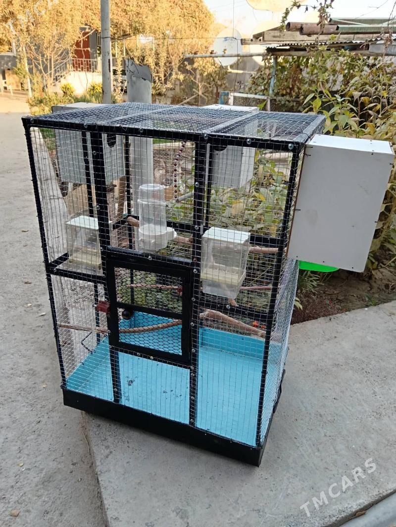 Guș Kletka Täze 0.95*0.67*0.50 - Багир - img 3