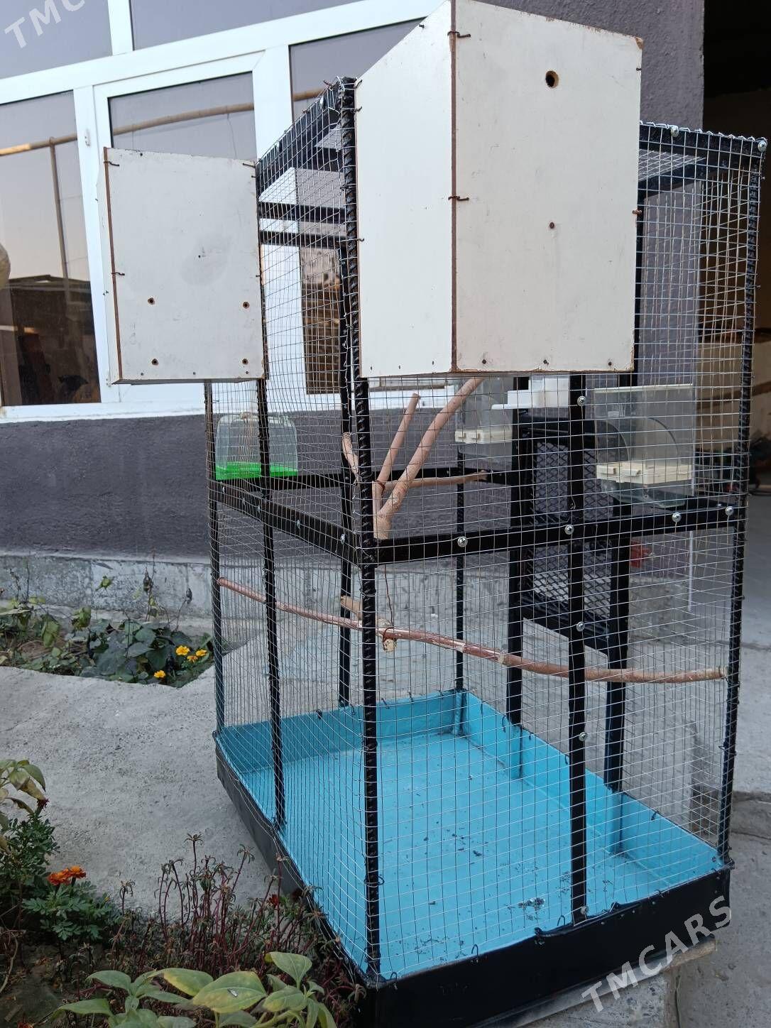 Guș Kletka Täze 0.95*0.67*0.50 - Багир - img 5