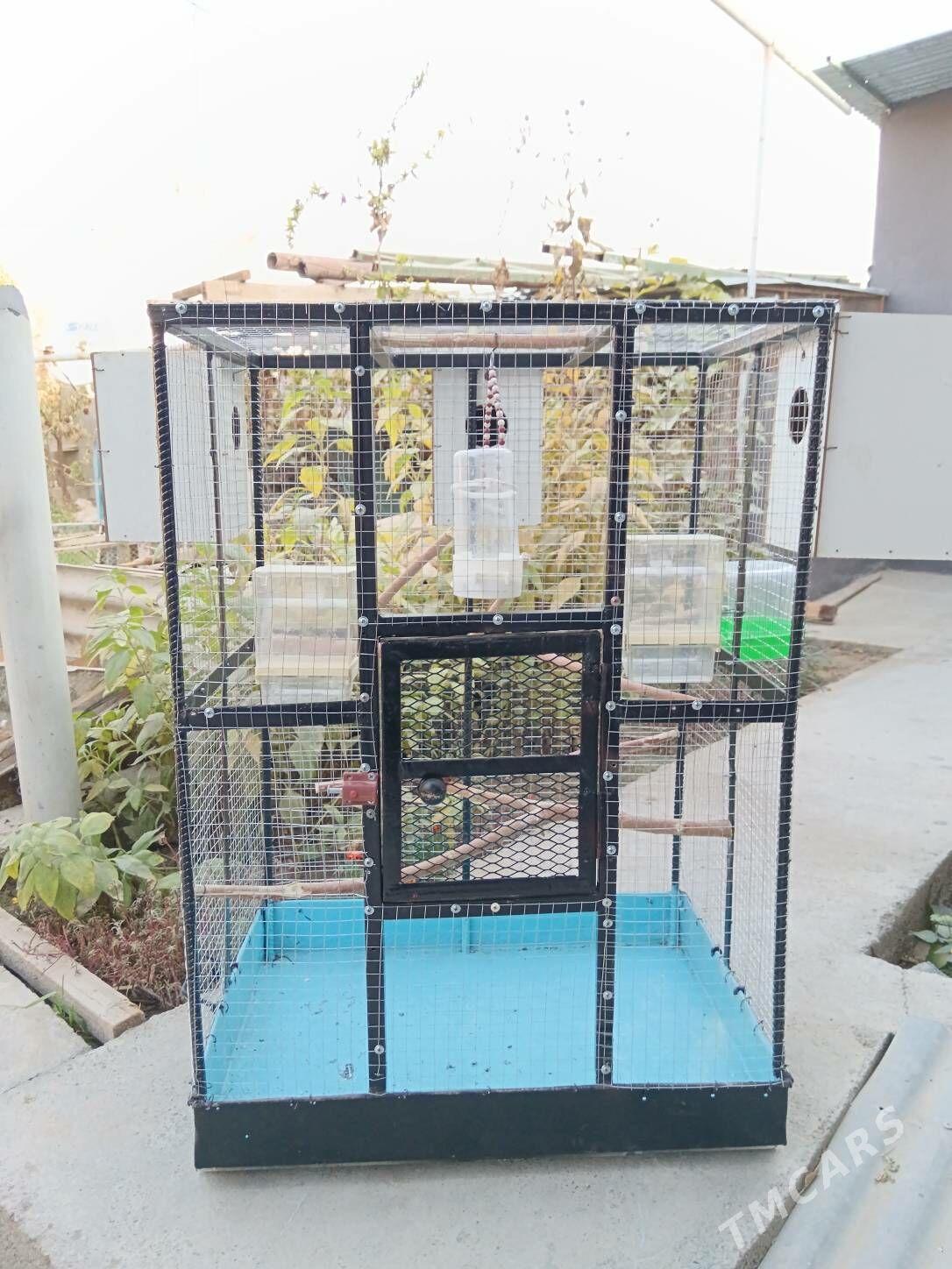 Guș Kletka Täze 0.95*0.67*0.50 - Багир - img 8