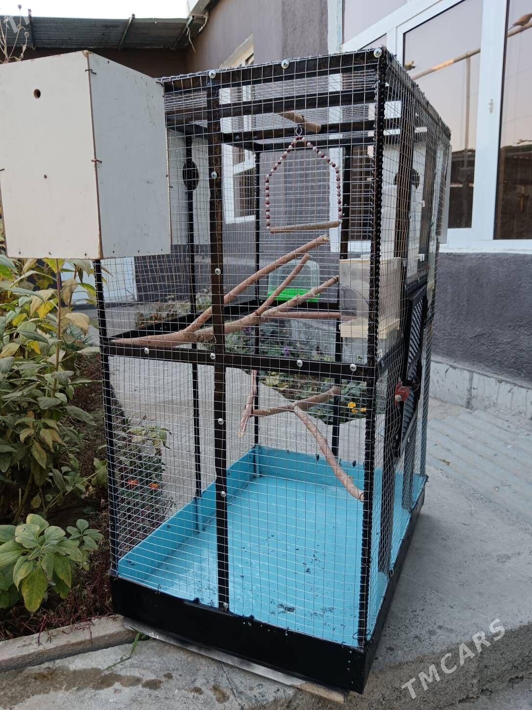 Guș Kletka Täze 0.95*0.67*0.50 - Багир - img 4