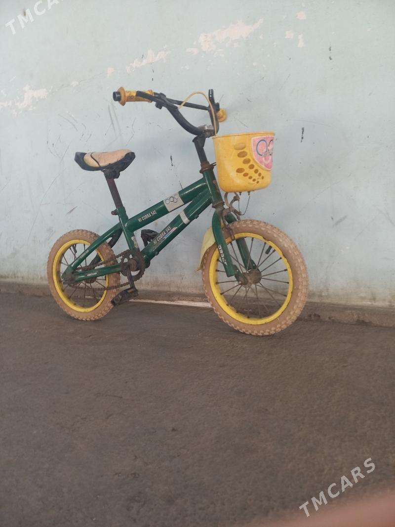 tigir 14 lik - Büzmeýin - img 2