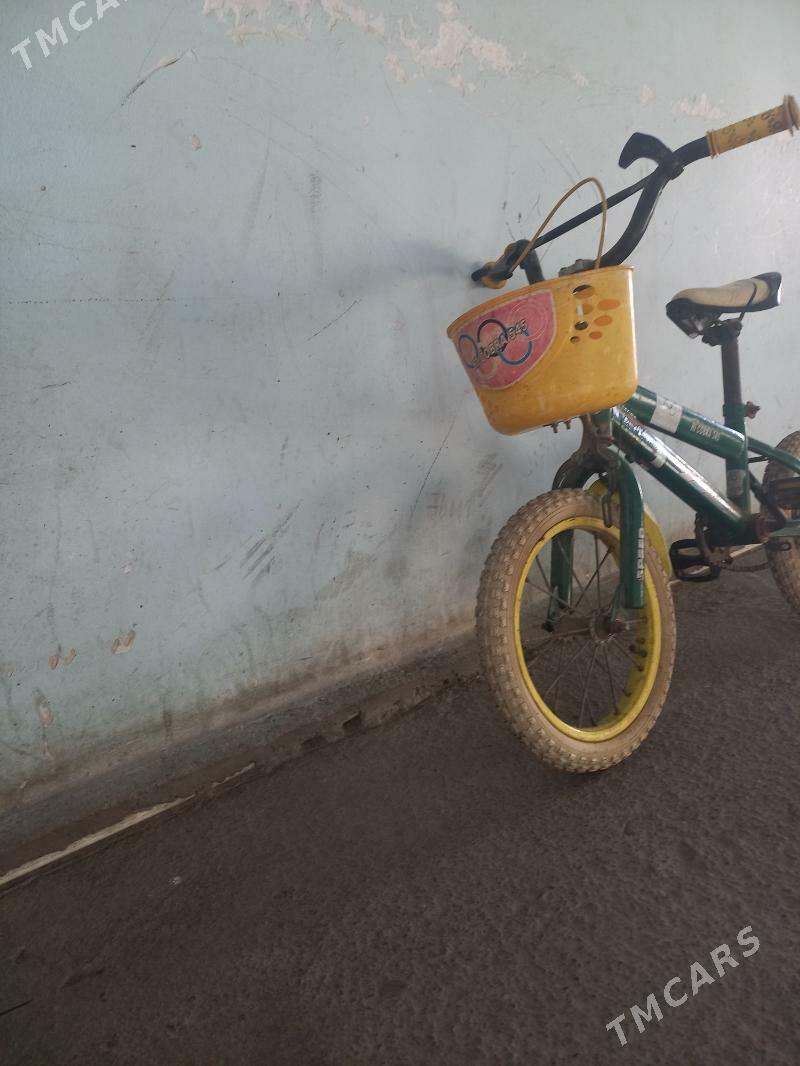 tigir 14 lik - Büzmeýin - img 5