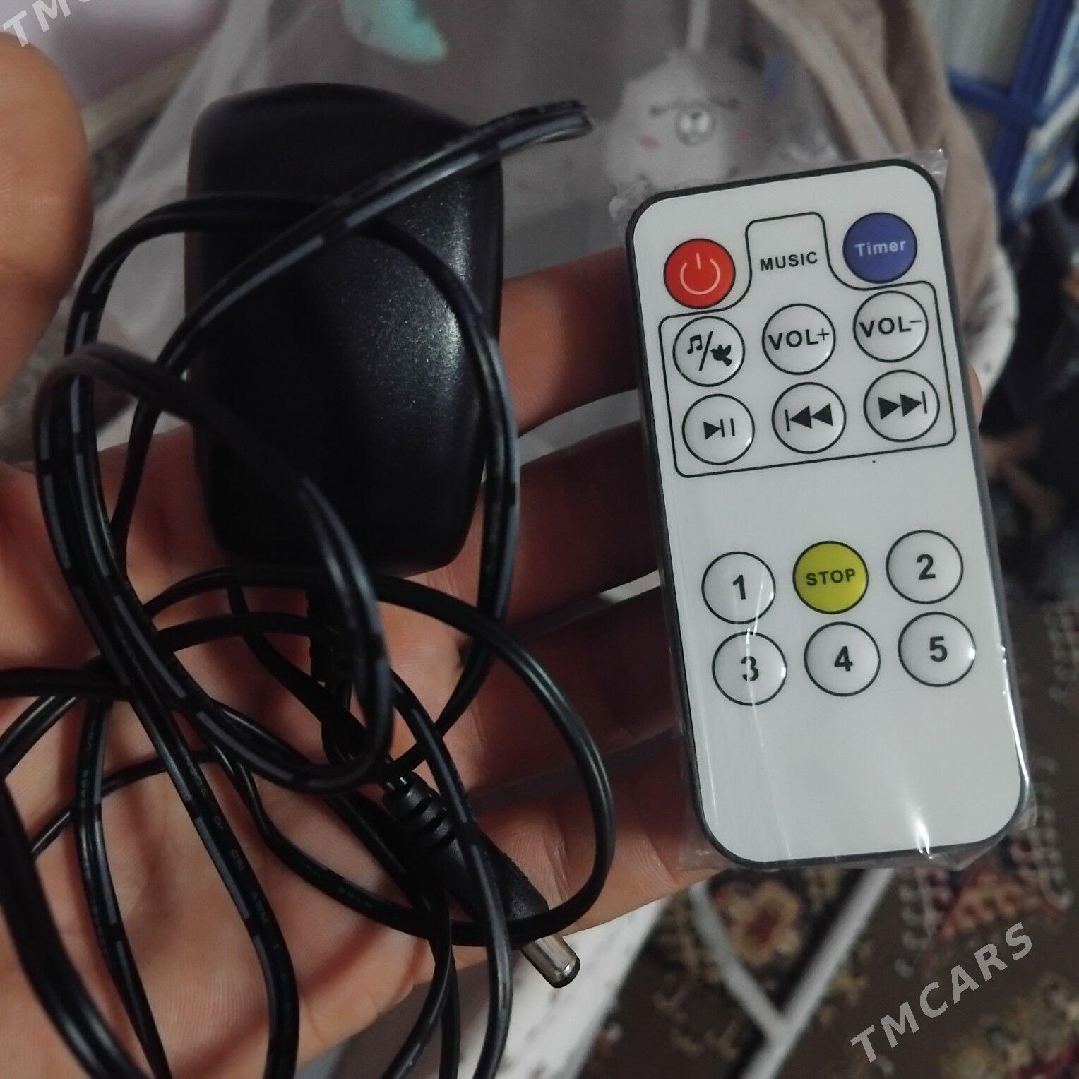 Tokly sallancak - Çärjew - img 6