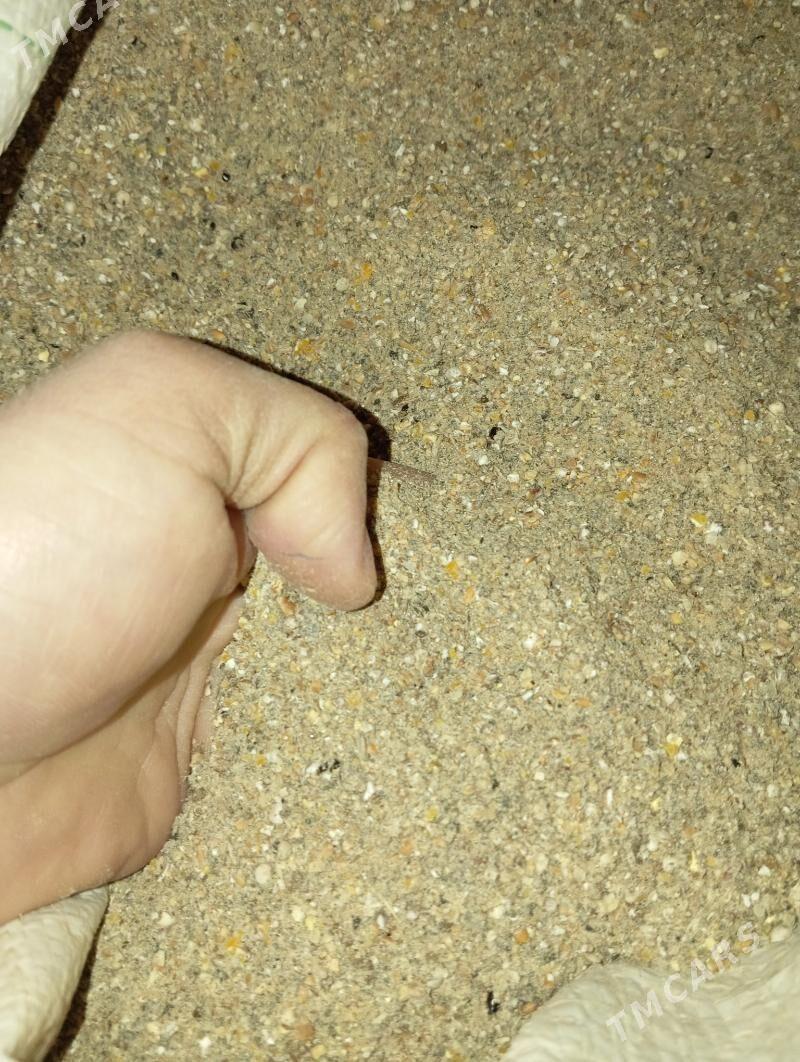 Bedene iym корм для перепелов - Daşoguz - img 4