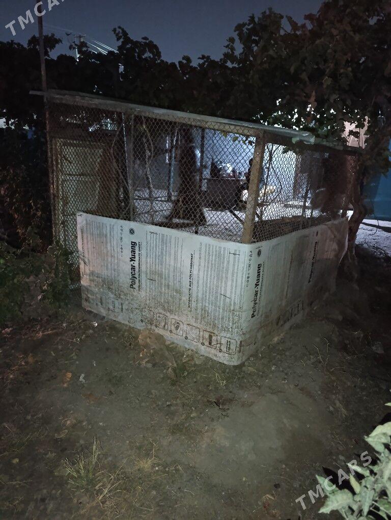 horaz towuk un ketek yatak - Кëши - img 3