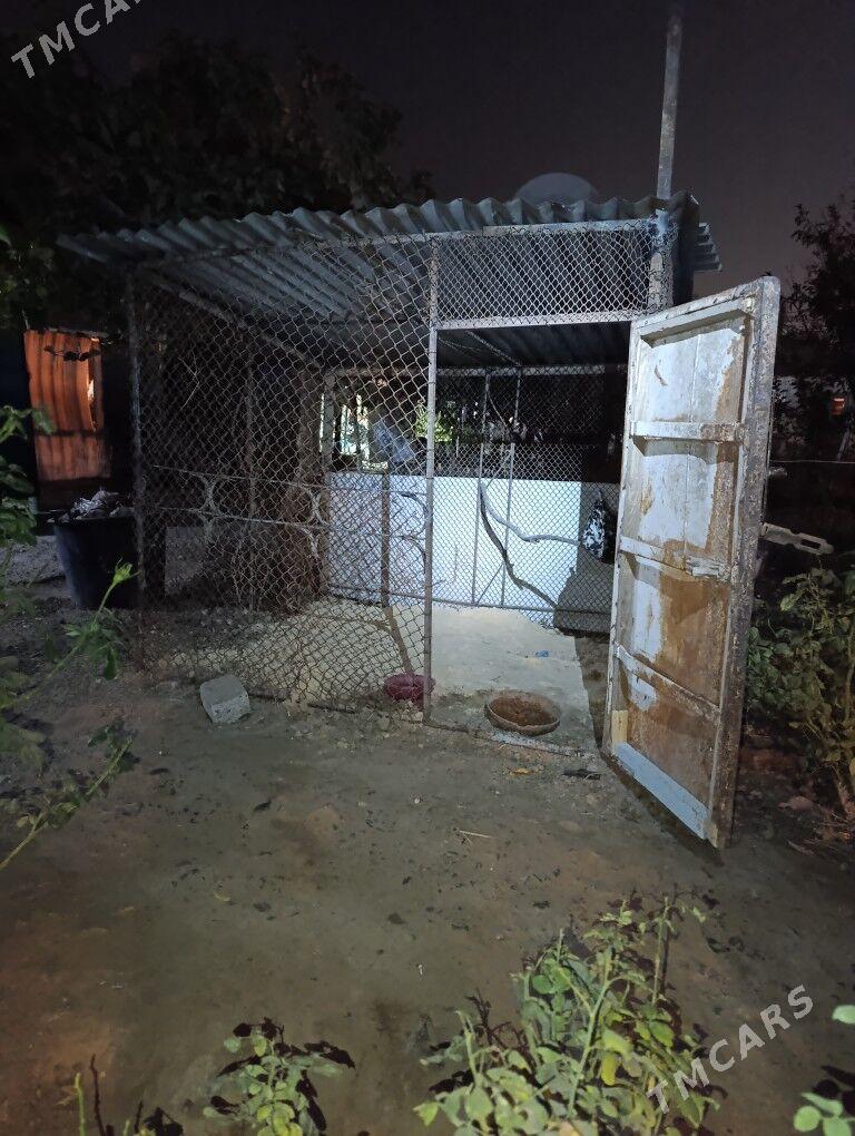 horaz towuk un ketek yatak - Кëши - img 2