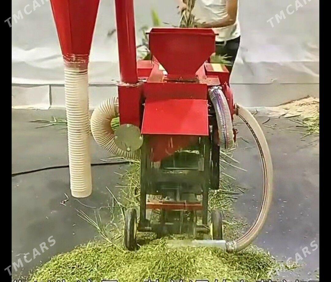 Ot tüweýän - Türkmenabat - img 2