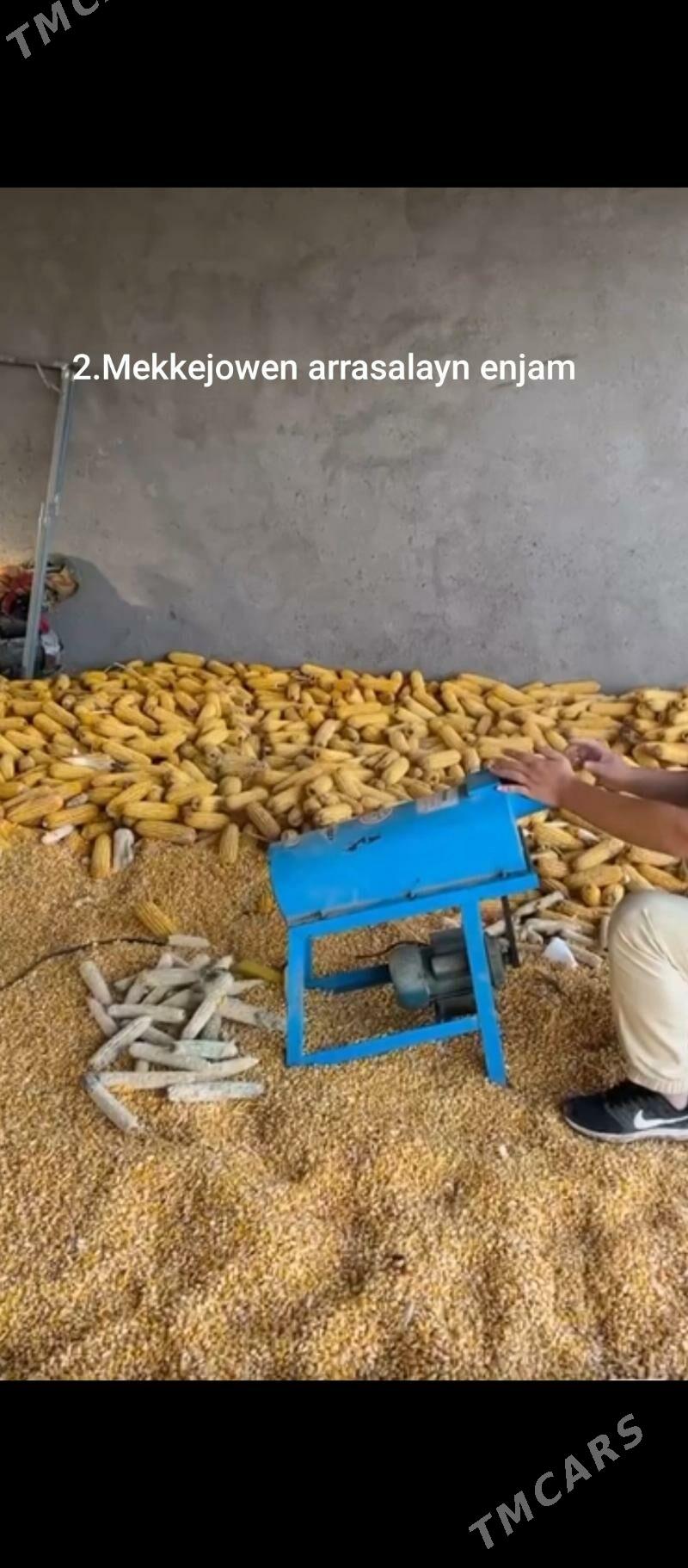 Mekge arassalaýan enjam - Türkmenabat - img 2