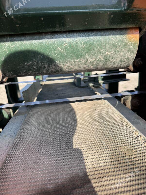 Agac stanok - Sakarçäge - img 3