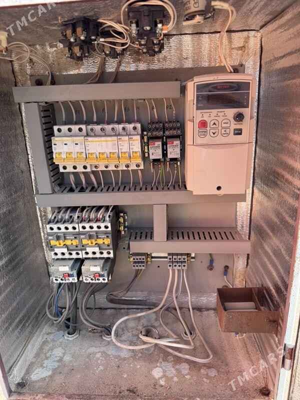 Agac stanok - Sakarçäge - img 2