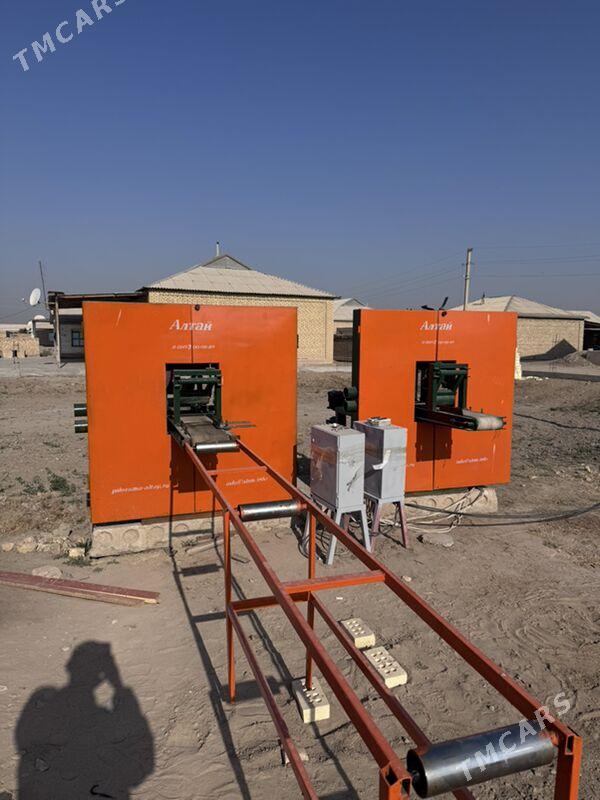 Agac stanok - Sakarçäge - img 5