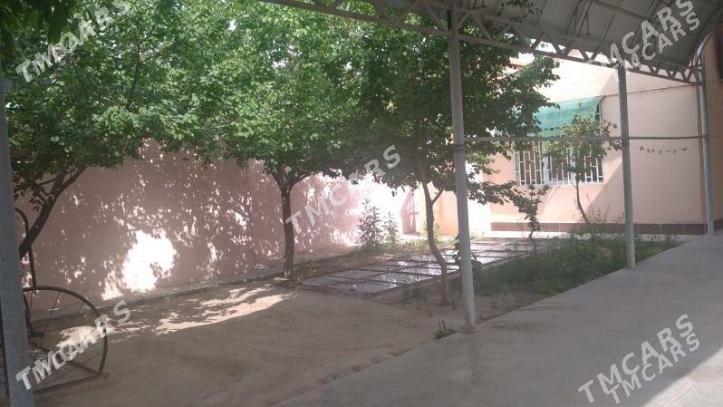 Satlyk_Çoganly - Ашхабад - img 3