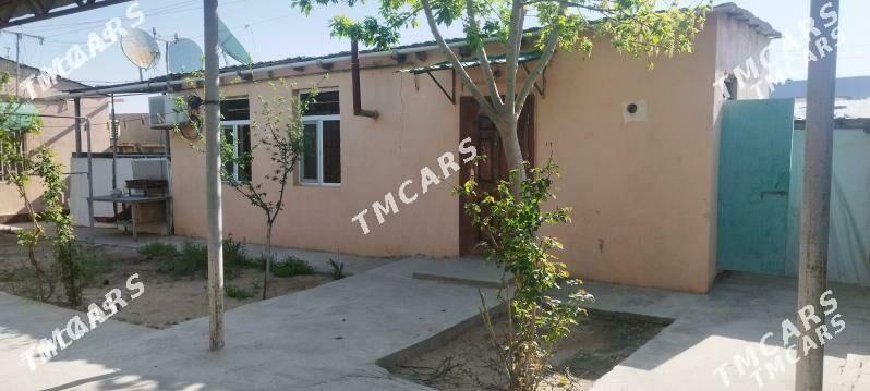 Satlyk_Çoganly - Ашхабад - img 1