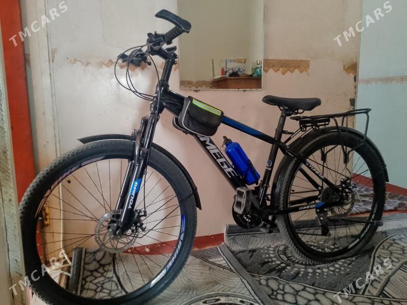 Tigir - Мары - img 1