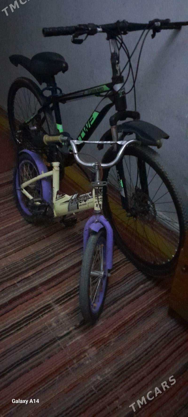 tigir - Бузмеин - img 1