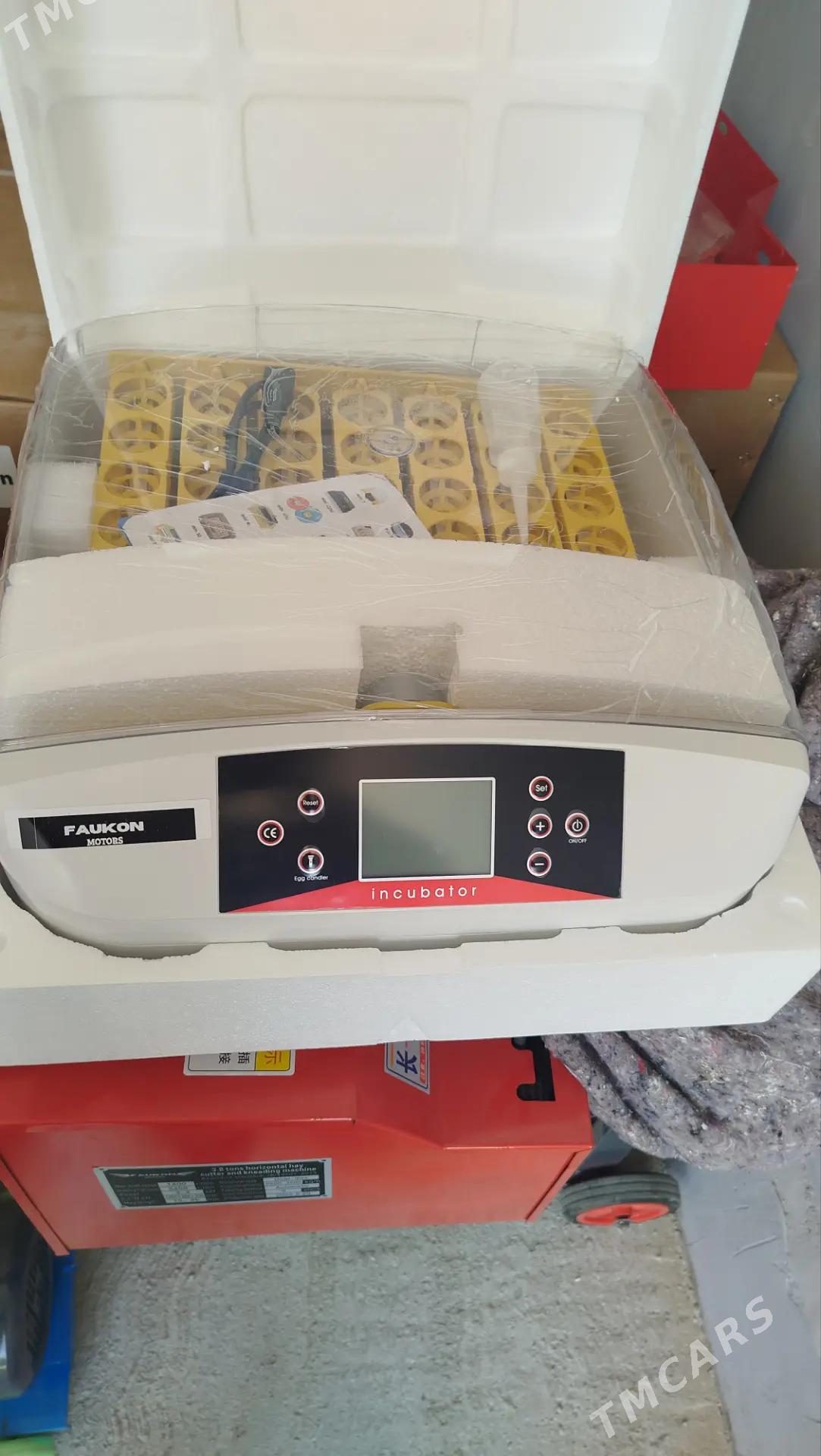 Inkubator - Türkmenabat - img 1