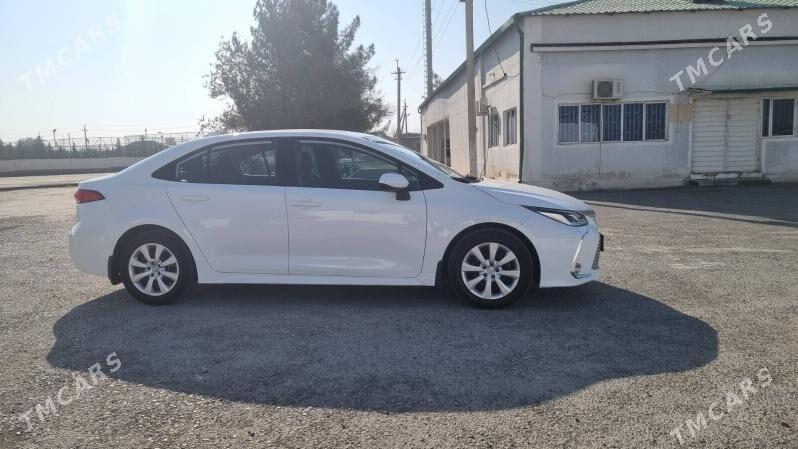 Toyota Corolla 2022 - 237 000 TMT - Ашхабад - img 3