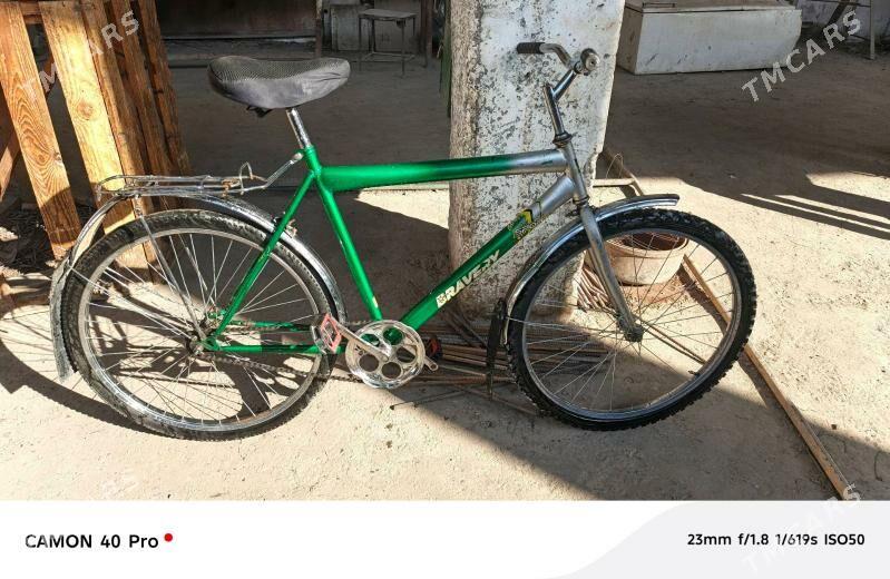 tigir 26 lyk - Büzmeýin - img 2