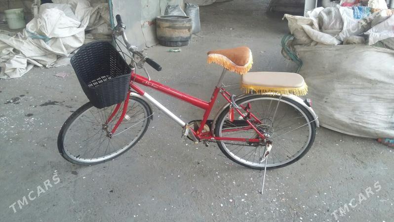 Welseped 26 - Sakarçäge - img 2