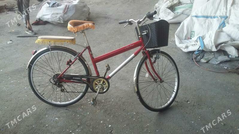 Welseped 26 - Sakarçäge - img 3