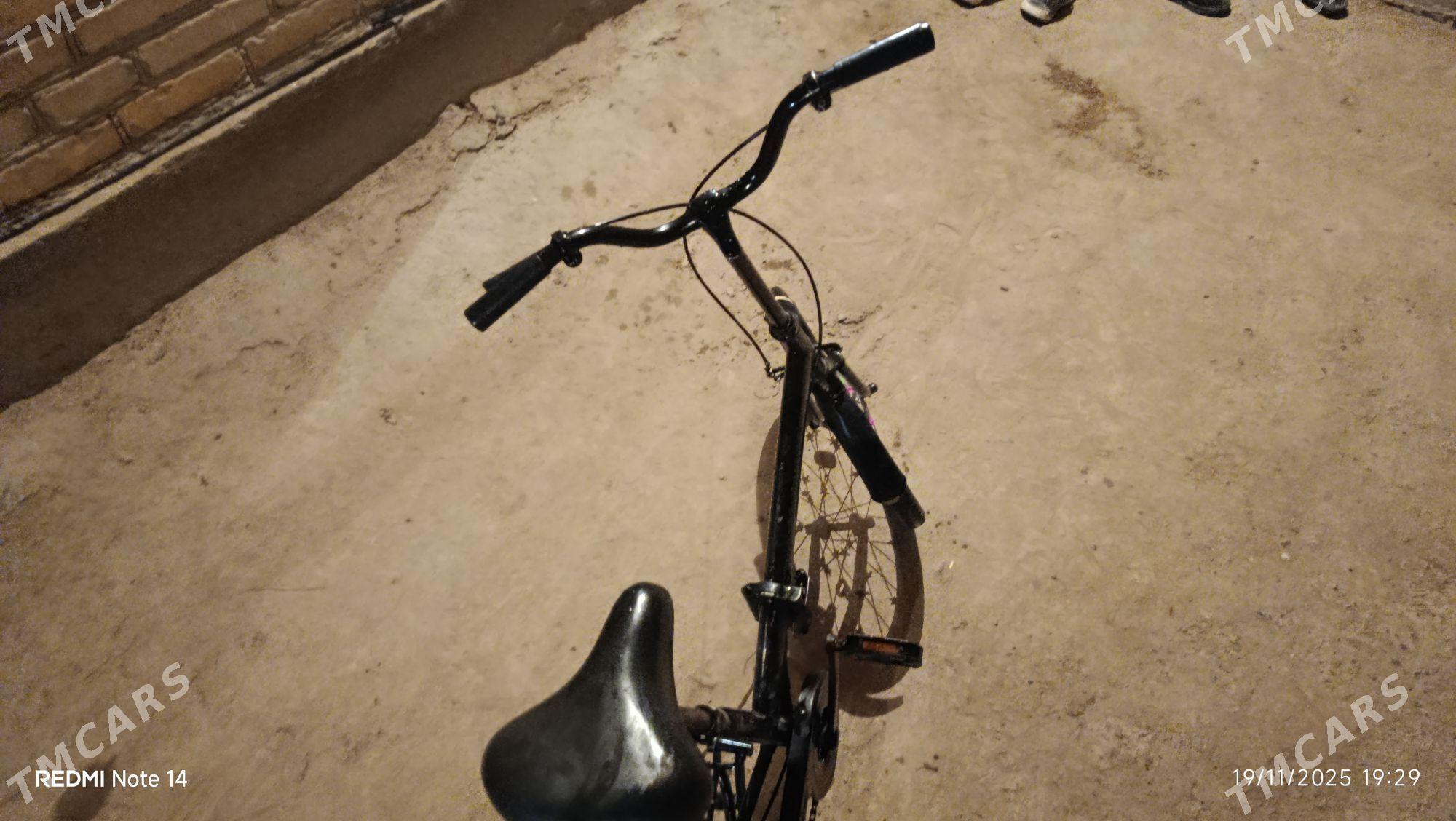 kama tigir hemme zady işleyar - Garabekewül - img 2