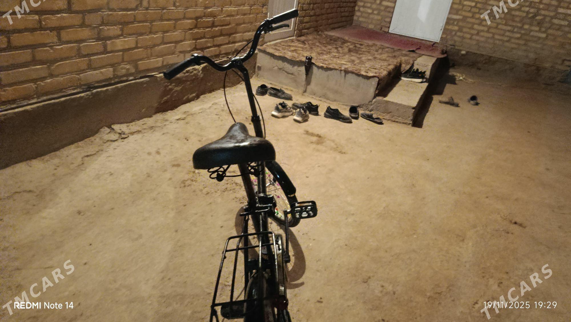 kama tigir hemme zady işleyar - Garabekewül - img 3