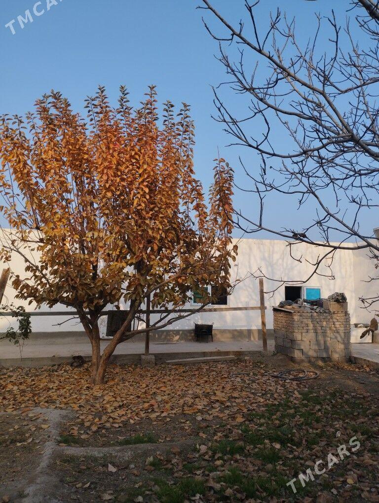 Boş yer - Ашхабад - img 3