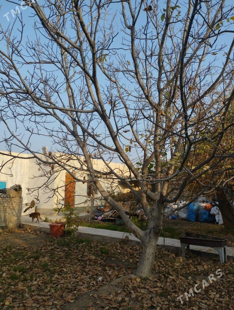 Boş yer - Ашхабад - img 2