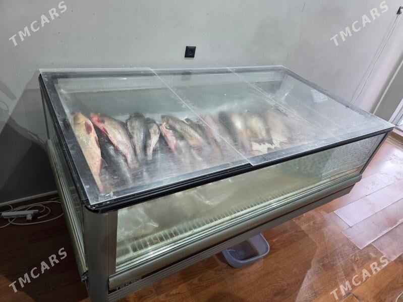 witrina marazilnik - Aşgabat - img 2
