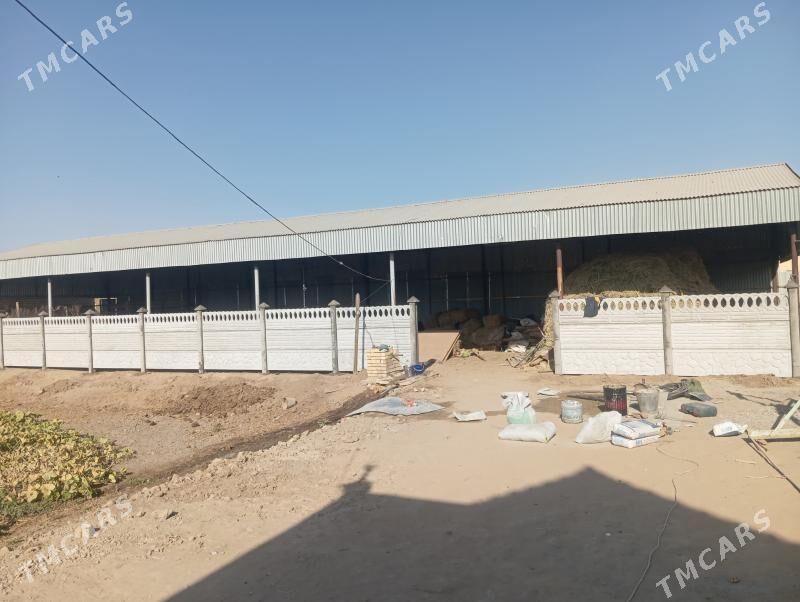 Beton zabor - Mary - img 4