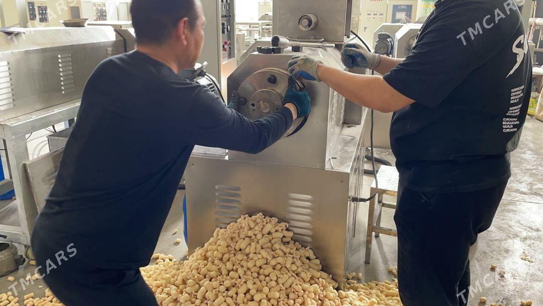 ekstruder 2 shnekli - Çärjew - img 9