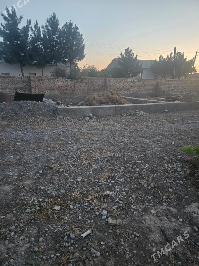 Kakada satlyk jaý - Kaka - img 2