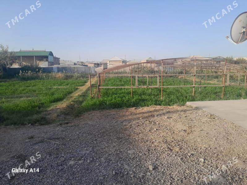 Satlyk jaý Taze ýol plan - Mary - img 2