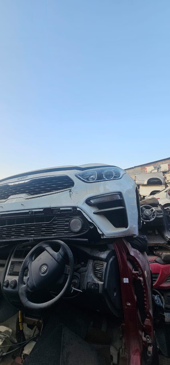 Damkrat 622 TMT - Bedew - img 8