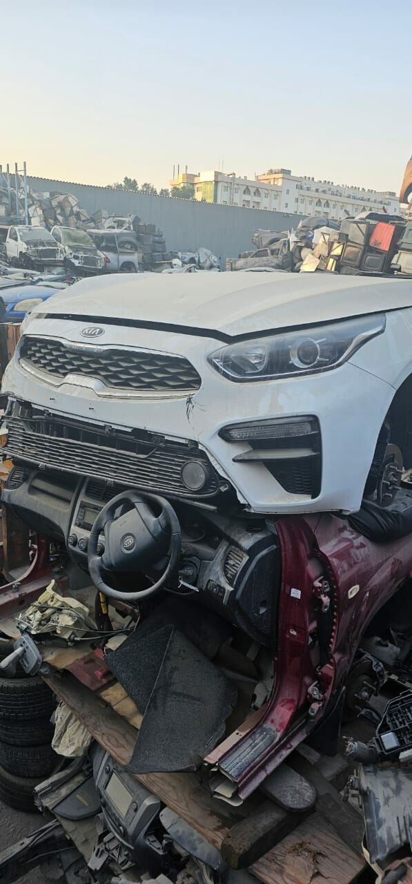 Damkrat 622 TMT - Bedew - img 9