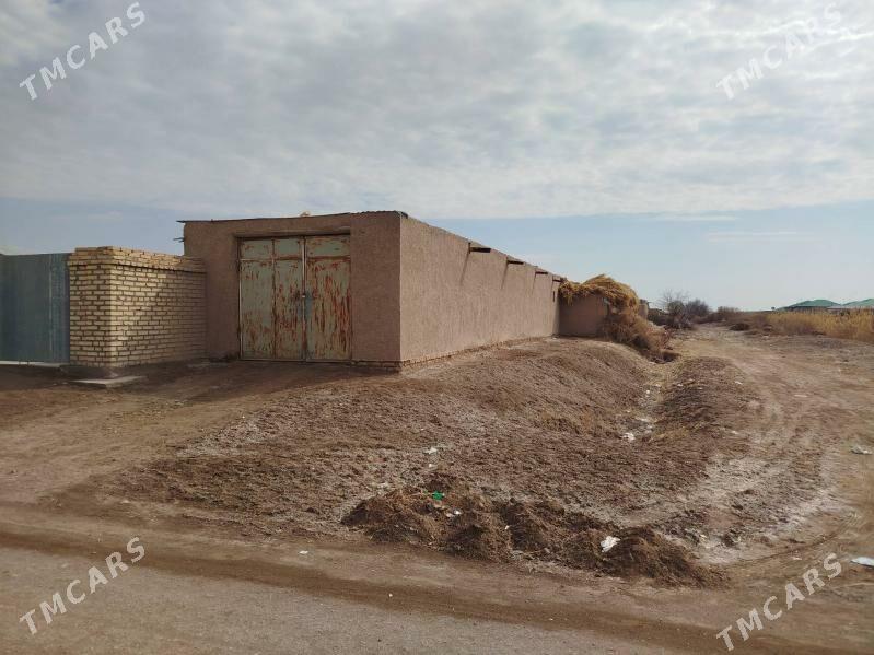 сатлык план жай керпичден - Гороглы (Тагта) - img 2