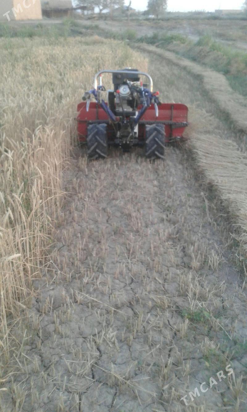 Mini kombaýyn - Görogly (Tagta) - img 1