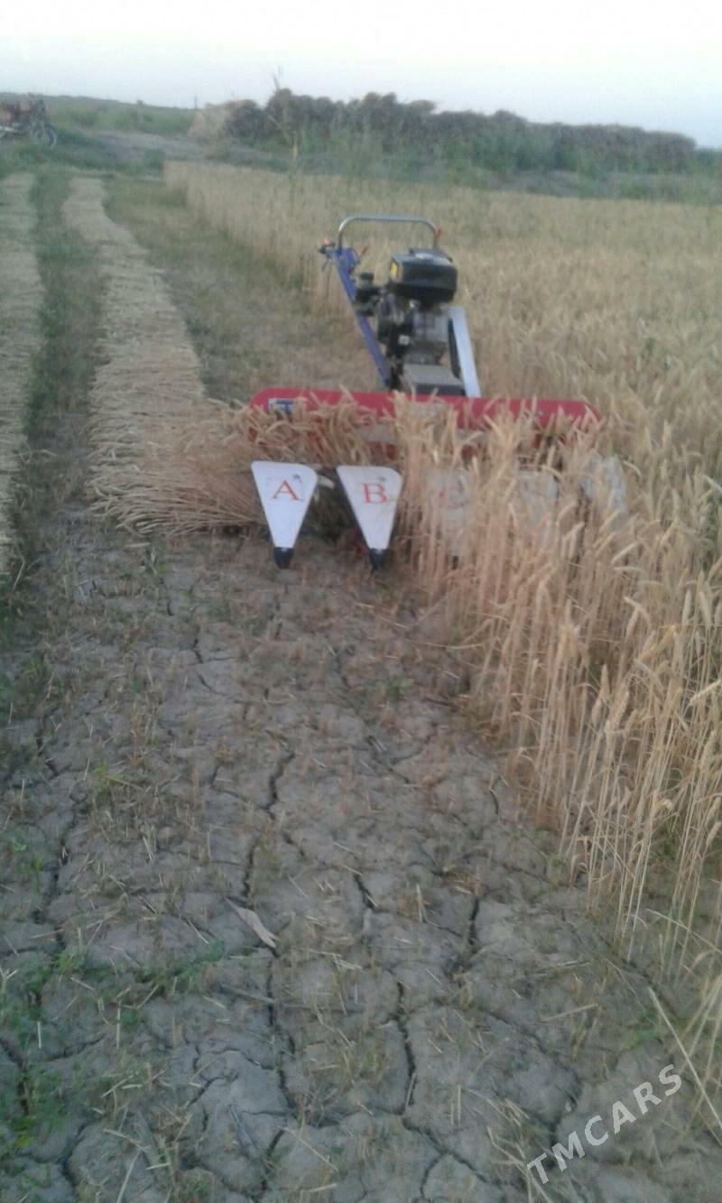 Mini kombaýyn - Görogly (Tagta) - img 2