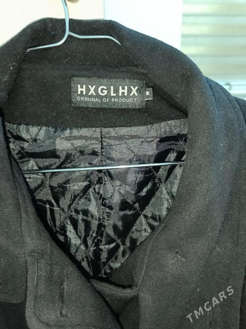 Kici Palto - Daşoguz - img 2