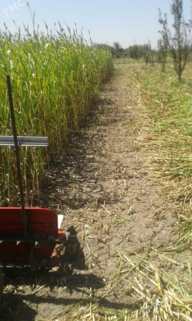 Mini kombaýyn - Görogly (Tagta) - img 3