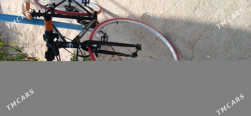 spartiwni tigir - Köşi - img 2