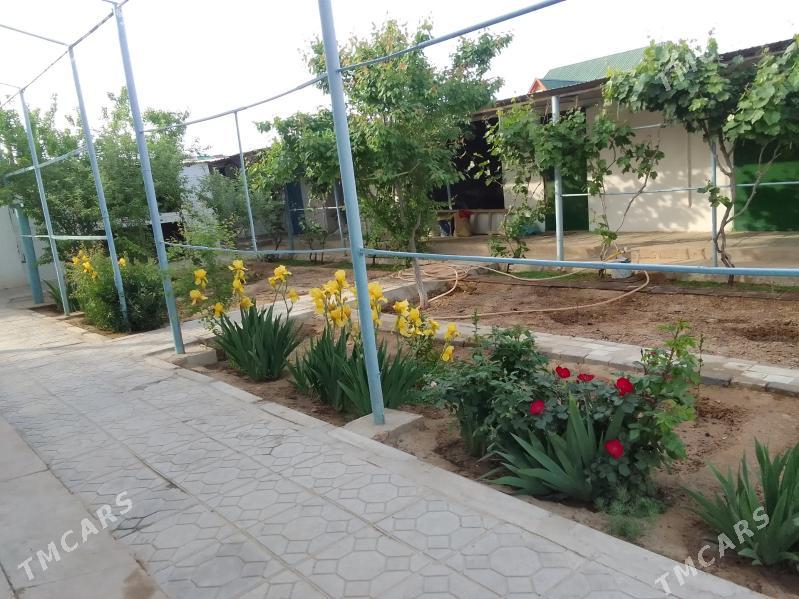 akdasda Jay - Туркменбаши - img 8